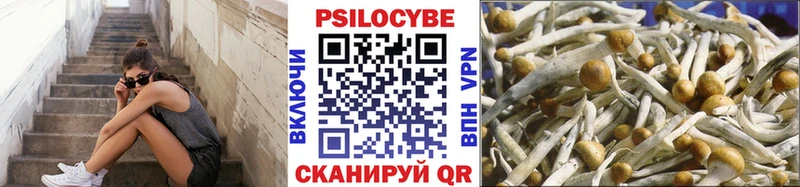 дарк нет как зайти  Крымск  Псилоцибиновые грибы MAGIC MUSHROOMS 